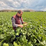 Milli Savunma Bakan Yardımcısı Ayhan'dan memleket paylaşımı