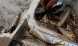 GECE YARISI "İSTAVRİT" OPERASYONU!