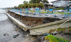 KARADENİZ'DE DENİZ TAŞTI