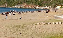 PARKLAR VE PLAJLAR DOLDU