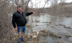 Tokat'ta dereler taştı; ekin tarlaları sular altında kaldı