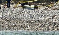 Türkeli'de kıyıya vuran şüpheli cisim korkuttu