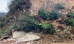 GÜNEYSU'DA KORKUTAN HEYELAN