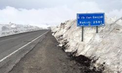 ARDAHAN–ARTVİN YOLUNDA KIŞ ÇİLESİ MECLİS GÜNDEMİNDE..