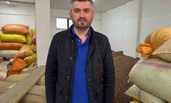 Fındık fiyatını yeni sezon rekoltesi belirleyecek