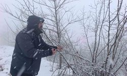 FINDIKTA DON RİSKİ