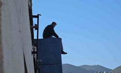 Kavalı alınan sokak sanatçısı çatıya çıktı