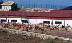 RİZE'DE KORKUNÇ İDDİALAR!