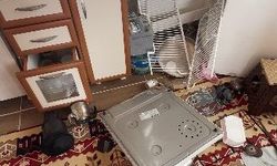 Ayılar mahalleye indi!