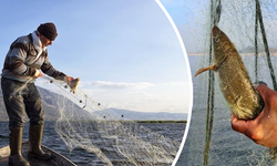 Av yasağı başladı