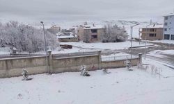 Nisan sürprizi: İlçe beyaza büründü