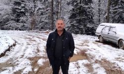 Devrilen ağacın altında kalan işçi hayatını kaybetti