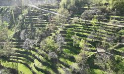 YAMACI TAŞ TAŞ ÖRDÜLER