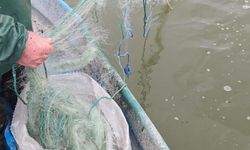 Gölde 800 metre balık ağı ele geçirildi