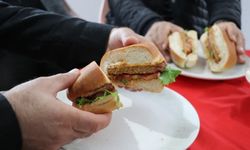 Kadın üreticiler, istiridye mantarından turşu ve köfte yaptı