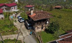 Kahverengi kokarcaya karşı kışlaklardan çıkış öncesi ilaçlama hız kazandı