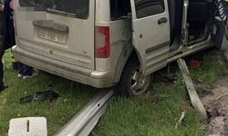 Kamyonet bariyerlere çarptı: 5 yaralı