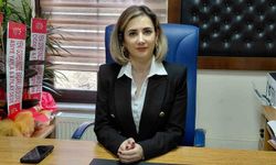 Mudurnu Tapu Müdürlüğü'ne yeni atama