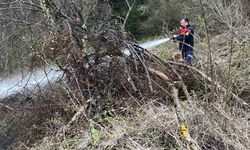 Ormanlık alanda çıkan yangın büyümeden söndürüldü