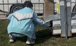 Sokak hayvanlarına mama desteği