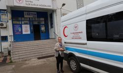 Psikolog, diyetisyen, fizyoterapist hepsi ücretsiz