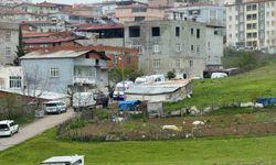 Anne ve oğlu evde ölü bulundu