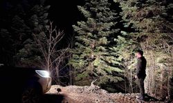 Sinop ormanları 7/24 koruma altında