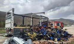 Çilek yüklü kamyon yandı