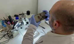 Uzmanından kene uyarısı!