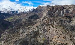 DAĞIN KALBİNDEN GELEN ŞELALELER!