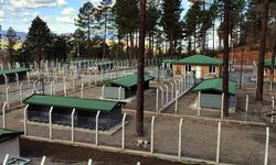 Ünye'de sahipsiz hayvanlar için örnek tesis tamamlanıyor