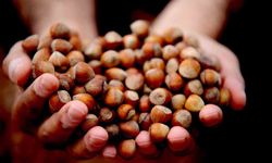 İlk 3 ayda ihracat rekoru kırıldı.