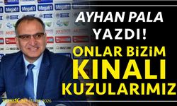 ONLAR BİZİM KINALI KUZULARIMIZ
