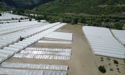Yeşilırmak Nehri taştı!