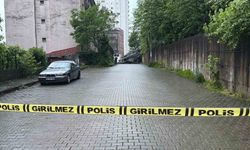 Dev kayalar yolu kapattı