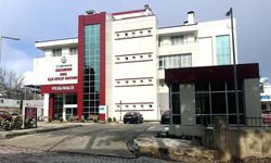 Kestiği ağacın altında kalan işçi hayatını kaybetti