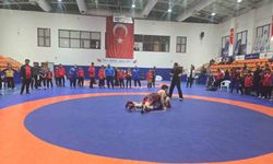 Olimpiyat şampiyonları anısına güreş turnuvası düzenlendi