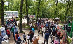 Samsun'da Karadeniz'in en büyük macera parkı açıldı