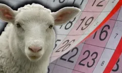 NE KURBAN KESECEĞİZ NE DE TATİLE GİDECEĞİZ!