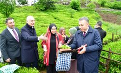 KARAİSMAİLOĞLU'NA GÖRE; "VATANDAŞ ÇAY FİYATINDAN MEMNUN"