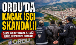ORDU'DA KAÇAK İŞÇİ SKANDALI!