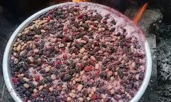 ARTVİN’DE PEKMEZ SEZONU AÇILDI