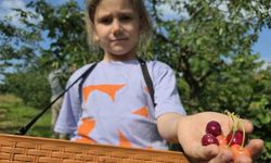 440 ağaçlık kiraz bahçesi ziyaretçilerini geçmişe götürüyor
