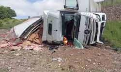 Tavuk eti yüklü tır şarampole uçtu: 2 yaralı
