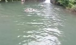 Arhavi'de gölette boğulan 2 din görevlisinin son görüntüleri ortaya çıktı