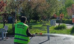 Bayburt'ta kene riskine karşı yeşil alanlar ilaçlandı