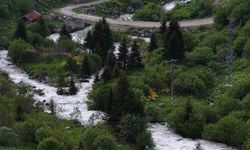 Beyaz örtü kalktı, Rize yaylaları yeşile büründü