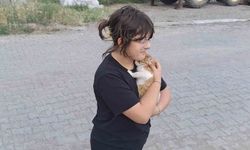 Çaya düşen kediyi itfaiye kurtardı
