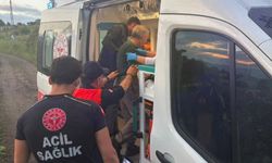 Kaybolan yaşlı adam ormanda bulundu