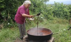 Dutların pekmeze dönüşen zahmetli yolculuğu